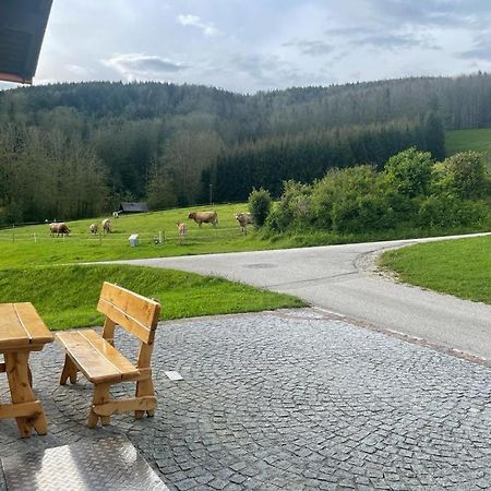 Ferienwohnung ,Hoizmann' Pinsdorf Buitenkant foto